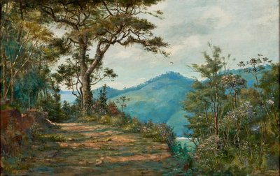 Landscape by Benedito Calixto